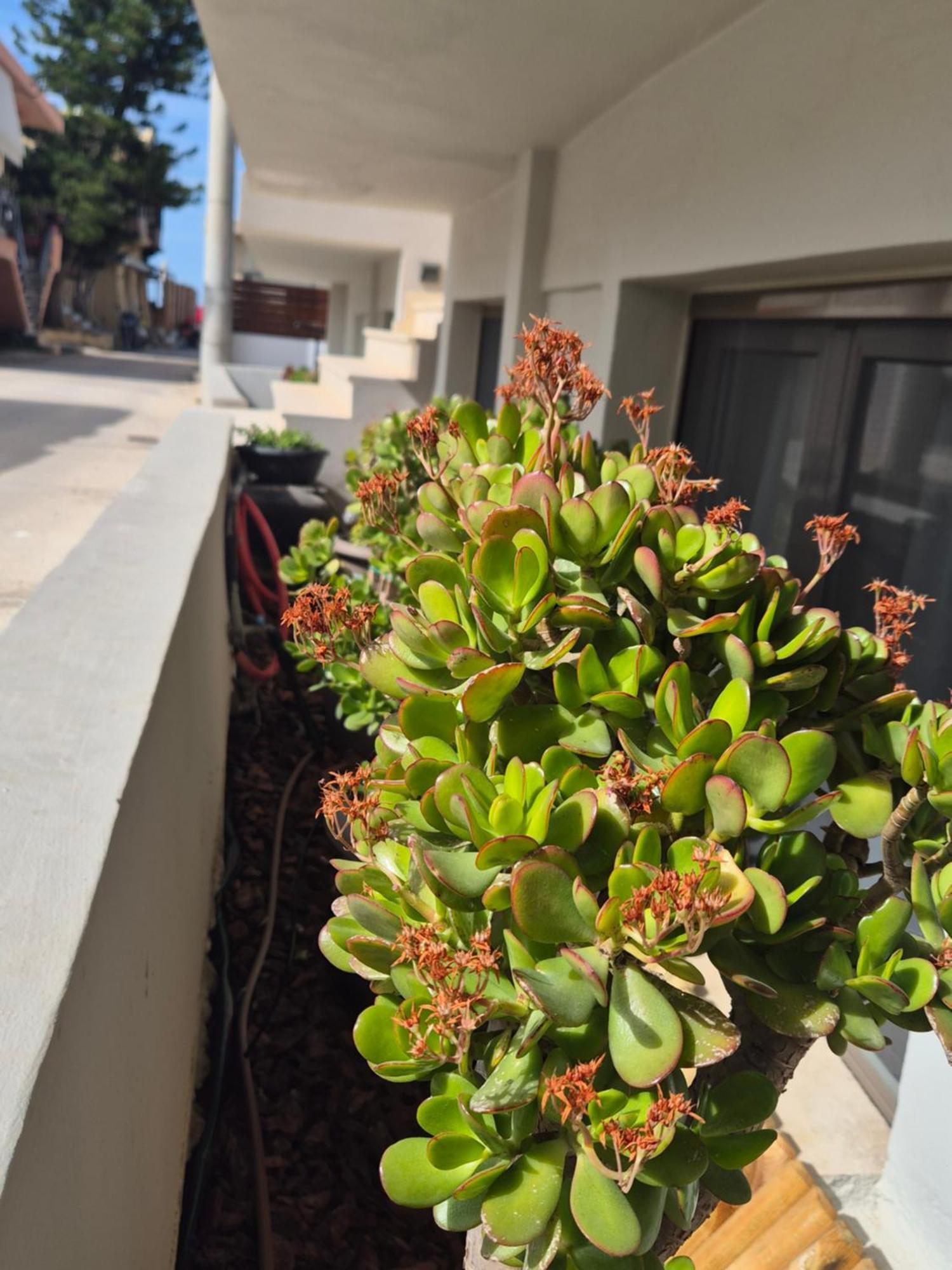 Calmare Suites Rethymno  Exterior photo